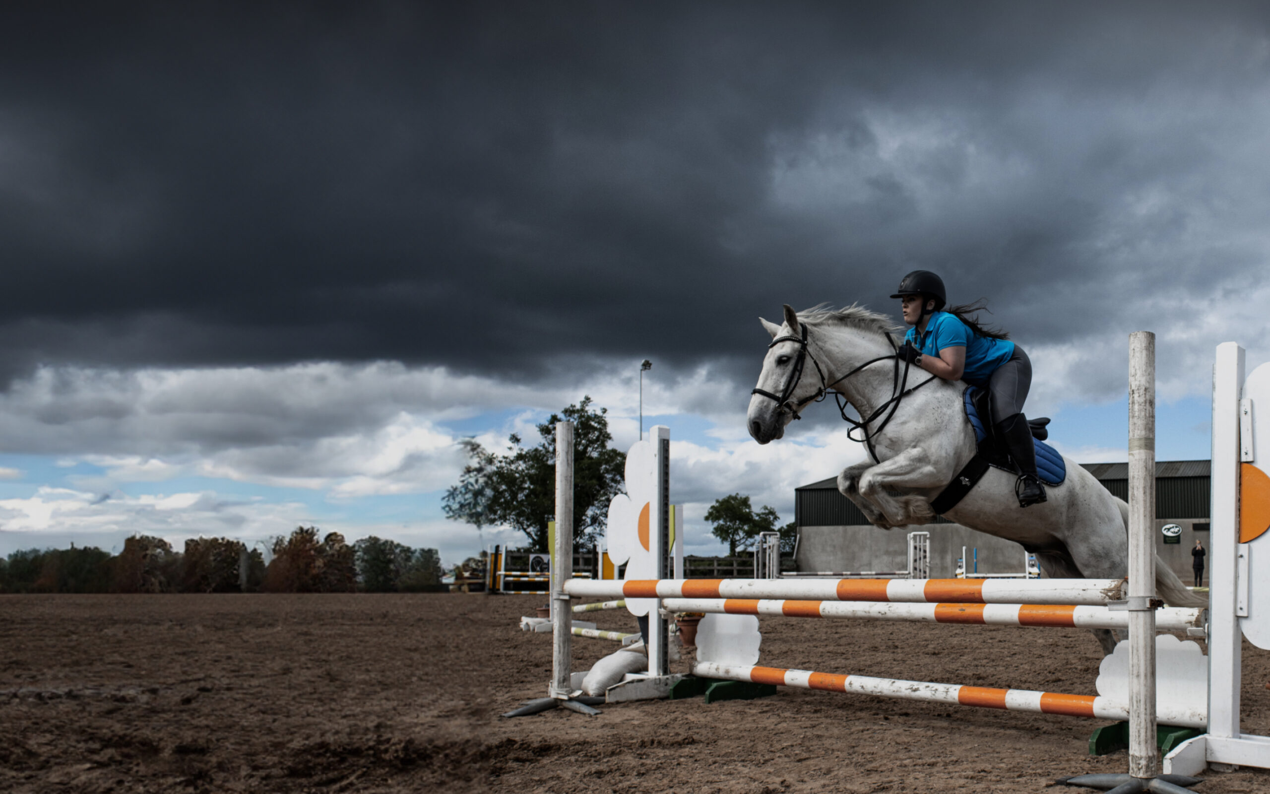 reiten